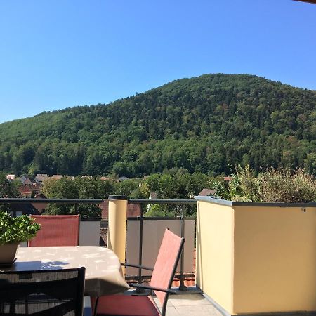Le Panorama Apartment Kaysersberg-Vignoble Ngoại thất bức ảnh
