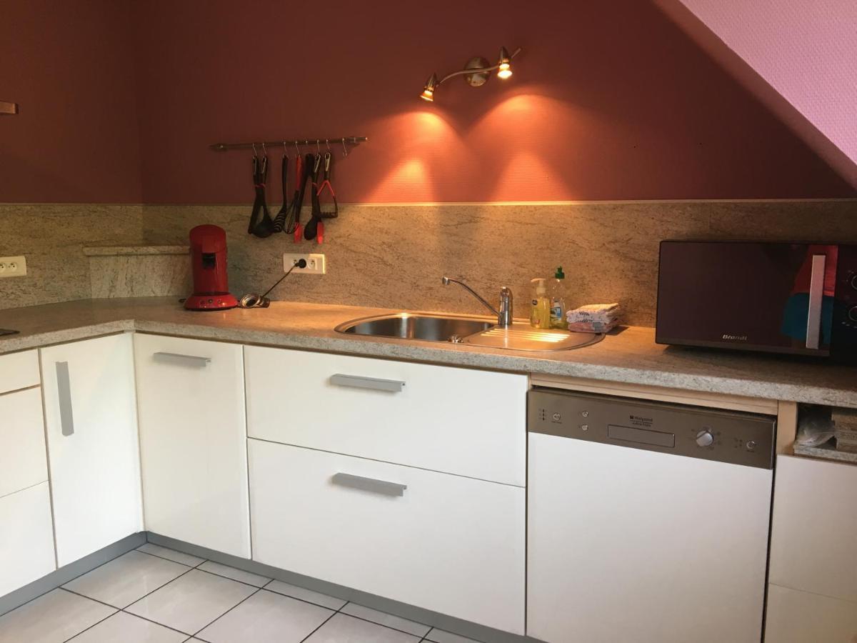 Le Panorama Apartment Kaysersberg-Vignoble Ngoại thất bức ảnh