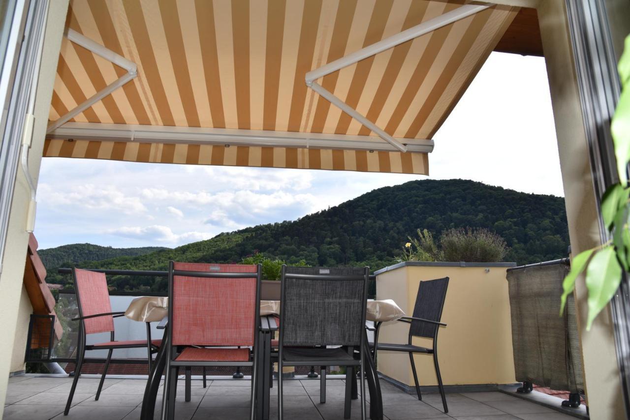 Le Panorama Apartment Kaysersberg-Vignoble Ngoại thất bức ảnh