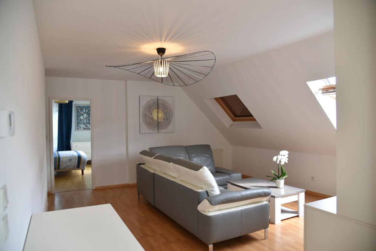 Le Panorama Apartment Kaysersberg-Vignoble Ngoại thất bức ảnh