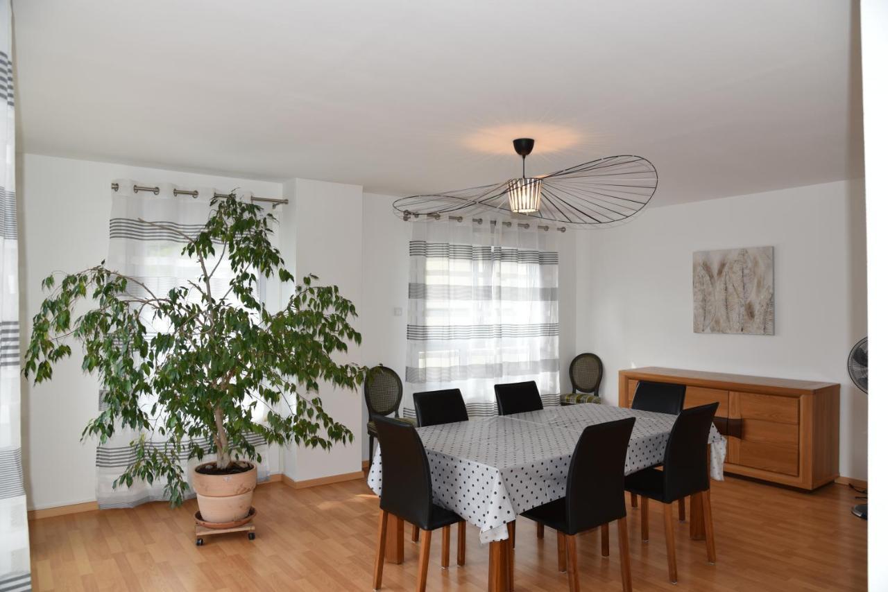 Le Panorama Apartment Kaysersberg-Vignoble Ngoại thất bức ảnh