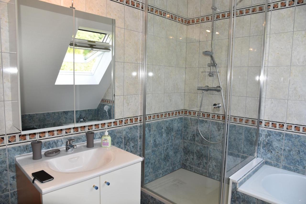 Le Panorama Apartment Kaysersberg-Vignoble Ngoại thất bức ảnh