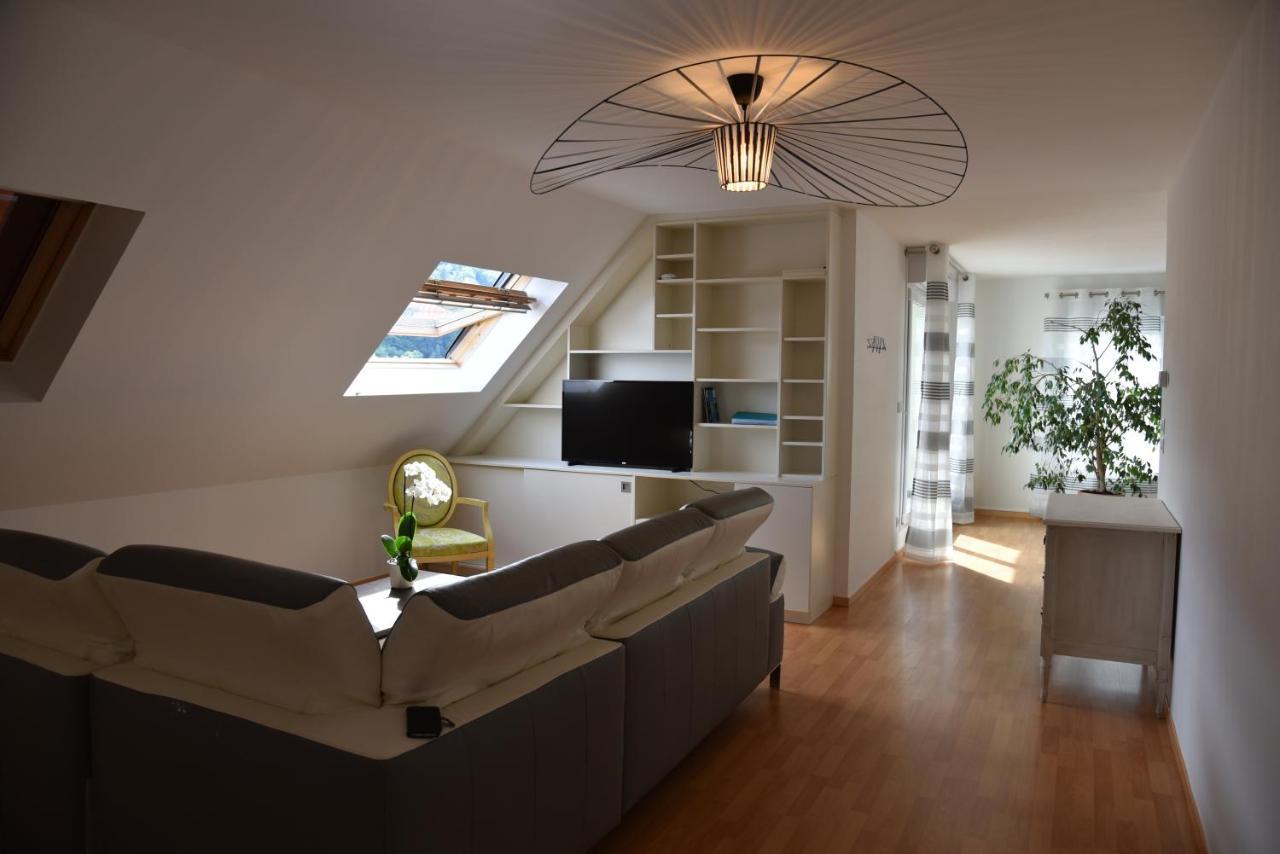 Le Panorama Apartment Kaysersberg-Vignoble Ngoại thất bức ảnh