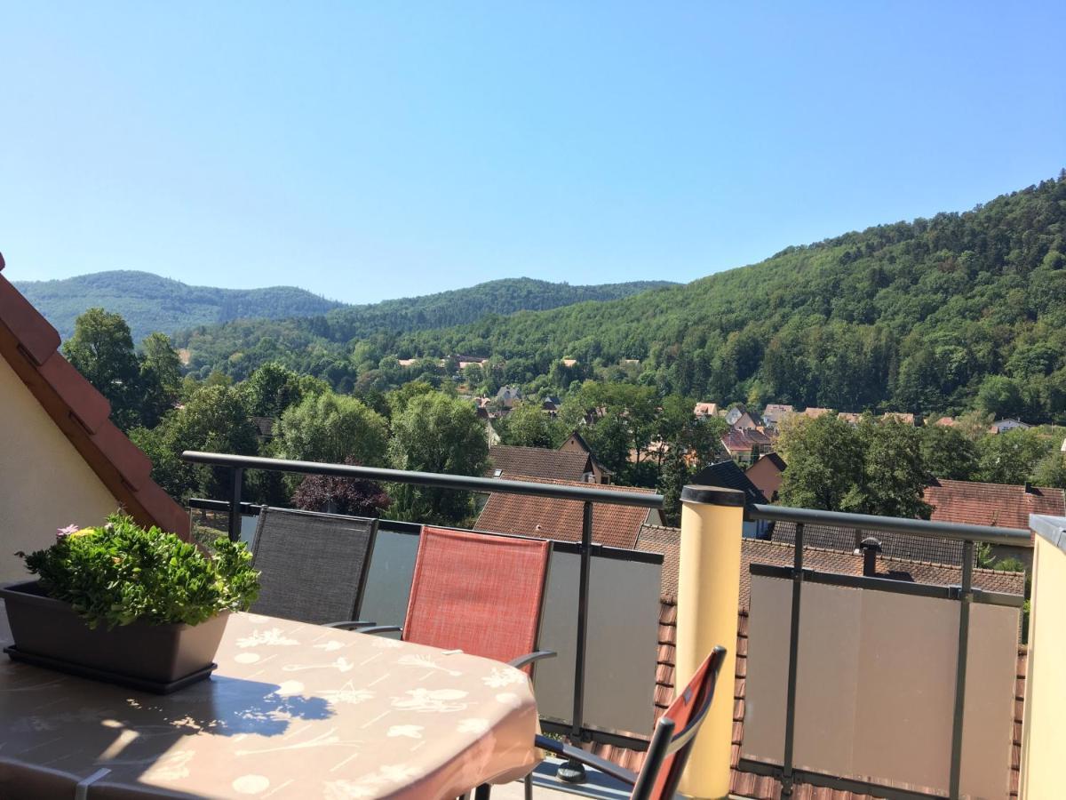 Le Panorama Apartment Kaysersberg-Vignoble Ngoại thất bức ảnh