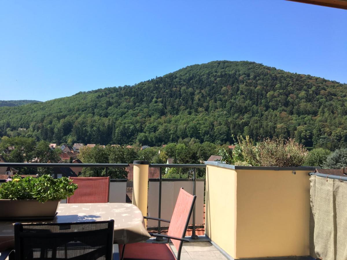 Le Panorama Apartment Kaysersberg-Vignoble Ngoại thất bức ảnh